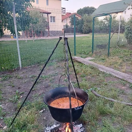 Casa Costache *
