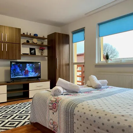 Casa Costache Tatil Evi