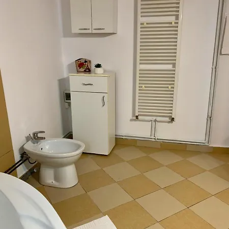 Casa Costache *