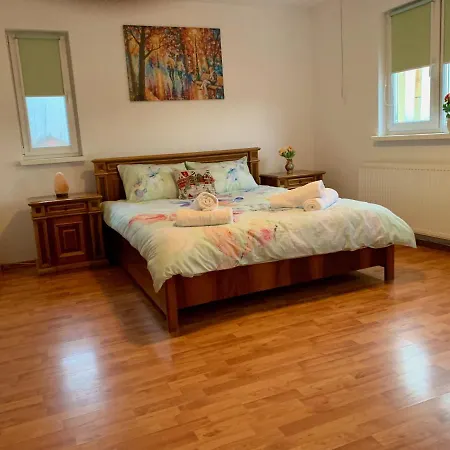 Casa Costache Tatil Evi *