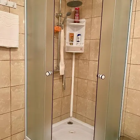 Casa Costache Case de vacanță *