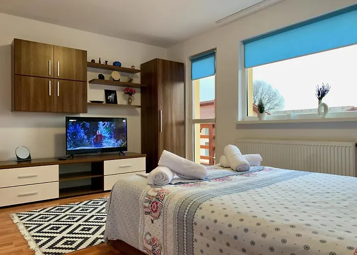 Casa Costache Hébergement de vacances