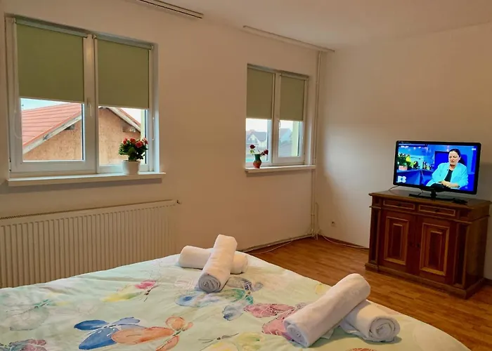 Casa Costache Holiday home Brasov