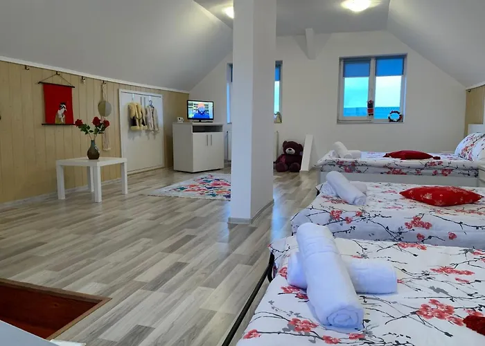 Casa Costache Hébergement de vacances Braşov