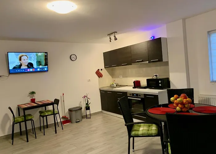 Hébergement de vacances Casa Costache *