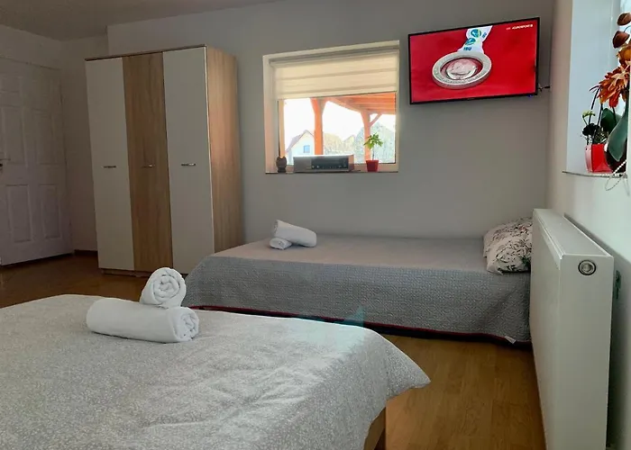 Casa Costache Holiday home Brasov