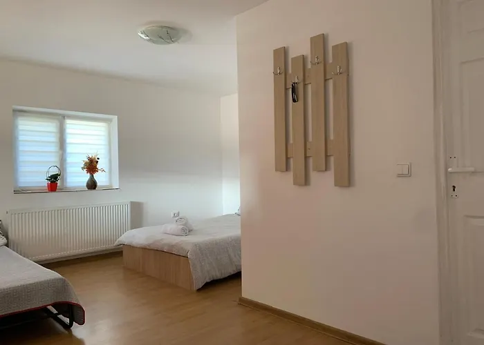 Hébergement de vacances Casa Costache